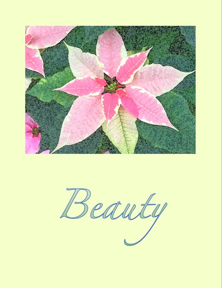 Beauty Card